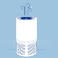 How Many Hours Should You Run Your Air Purifier Every Day?