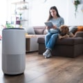 Is an Expensive Air Purifier Worth the Investment?