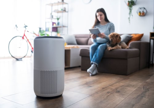 Is an Expensive Air Purifier Worth the Investment?